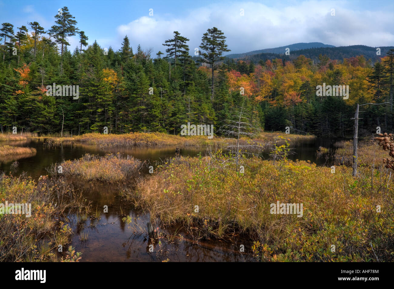 Herbst in New Hampshires Lefka Ori Stockfoto