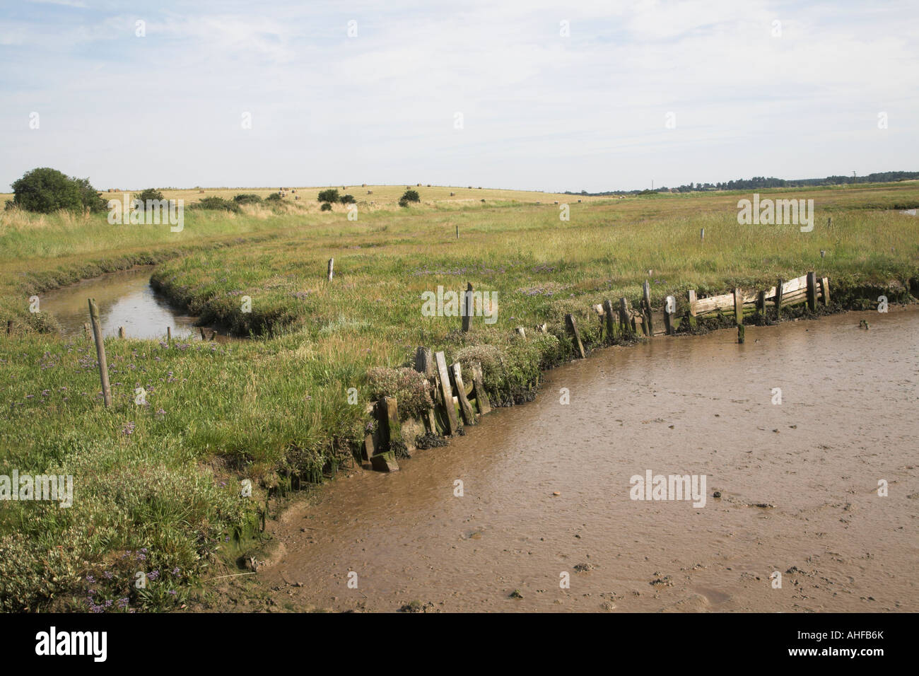 River Bank Feuchtgebiet Schlamm Butley Creek, Suffolk, England, Großbritannien Stockfoto