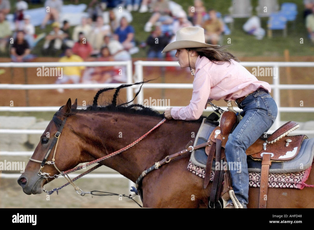 Weibchen konkurrieren im Rodeo-Lauf-Wettbewerb Stockfoto
