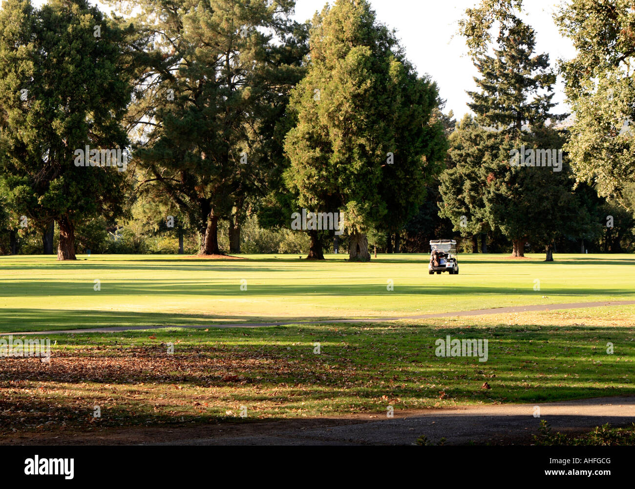 Ein Golf-Cart, überqueren den Golfplatz in der Herbstsonne am Nachmittag. Stockfoto