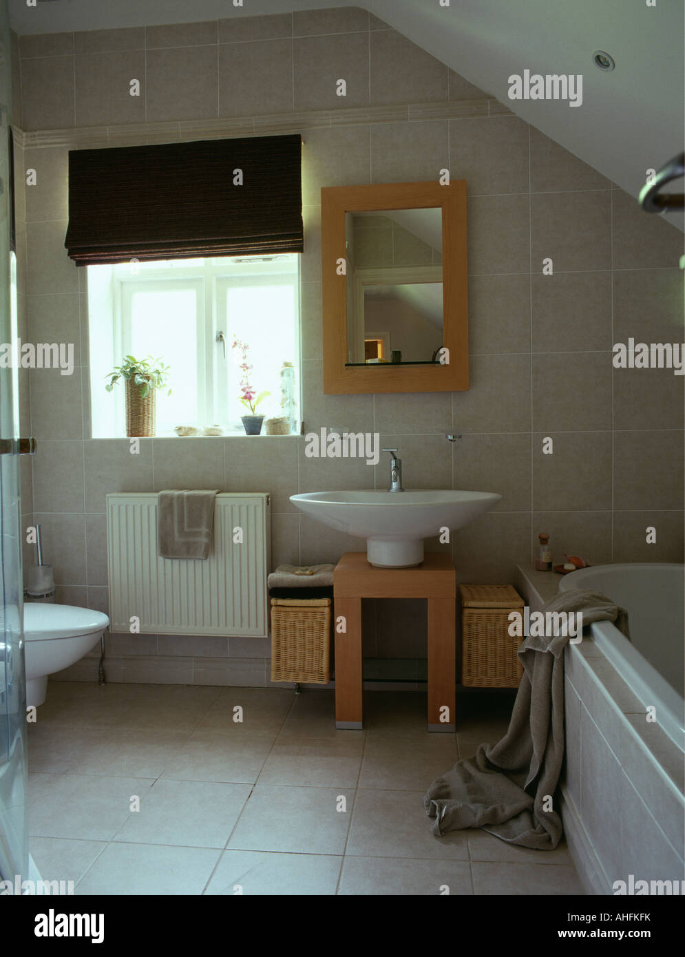 Bathroom Blind Monochromatic Stockfotos & Bathroom Blind Monochromatic