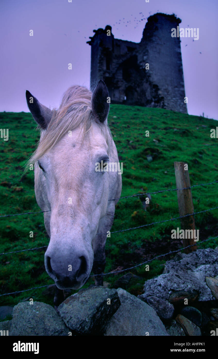 Traurig Pferd vor einer Burgruine Stockfoto