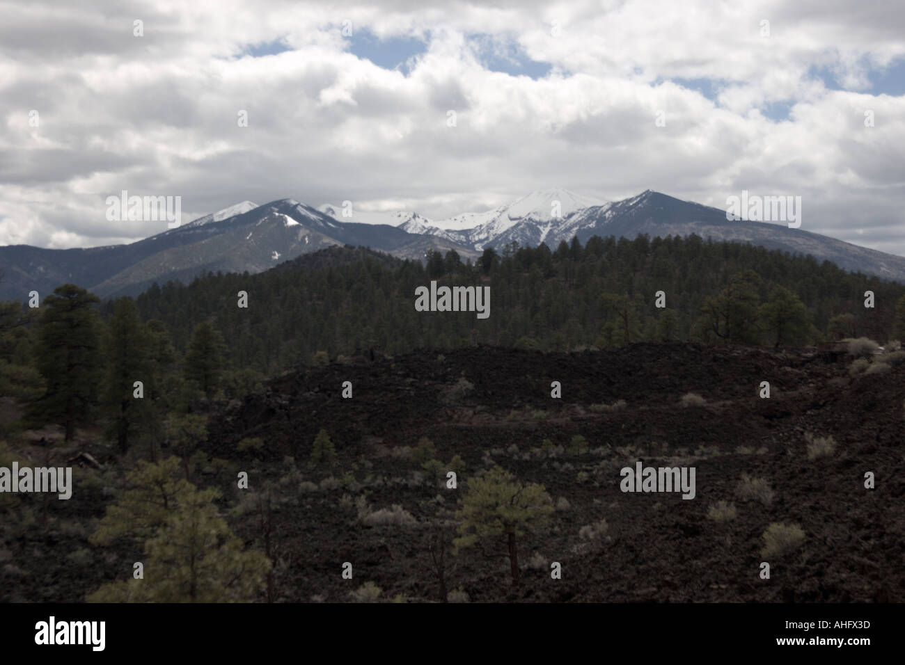 San Francisco-Berg, Flagstaff, Arizona, einschließlich Humphreys Peak - 12.633 ft das ist höchster Punkt Arizonas Stockfoto