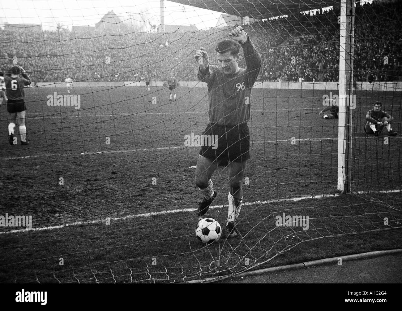 Fußball, Bundesliga, 1966/1967, Borussia Mönchengladbach vs. Hannover 96 2:0, Boekelberg Stadion, Szene des Spiels, Ziel 2:0 für Gladbach von Bernd Rupp (nicht abgebildet), Christian Breuer (96) holt den Ball aus dem Netz Stockfoto