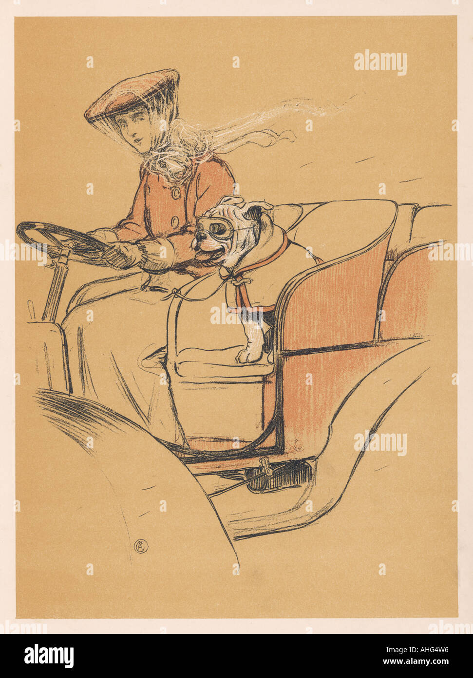 Frau Hund In offenen Wagen Stockfoto