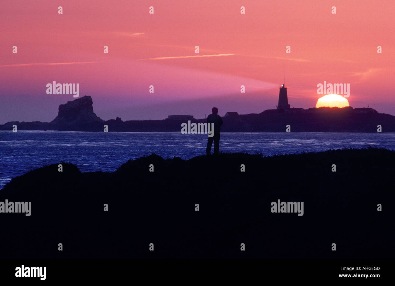 Eine Person steht ein Suchscheinwerfer am Piedras Blancas Leuchtturm entlang der südlichen Küste von Big Sur bei Sonnenuntergang beobachten Stockfoto