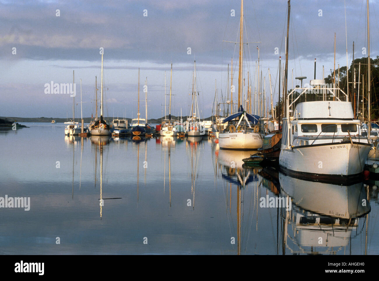 Boote in Morro Bay, Kalifornien Marina spiegeln sich im Wasser in der Morgendämmerung. Stockfoto