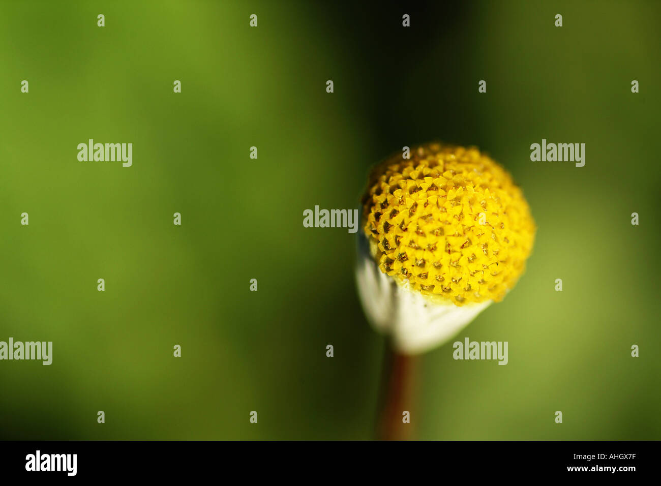 Lonely planet Stockfoto