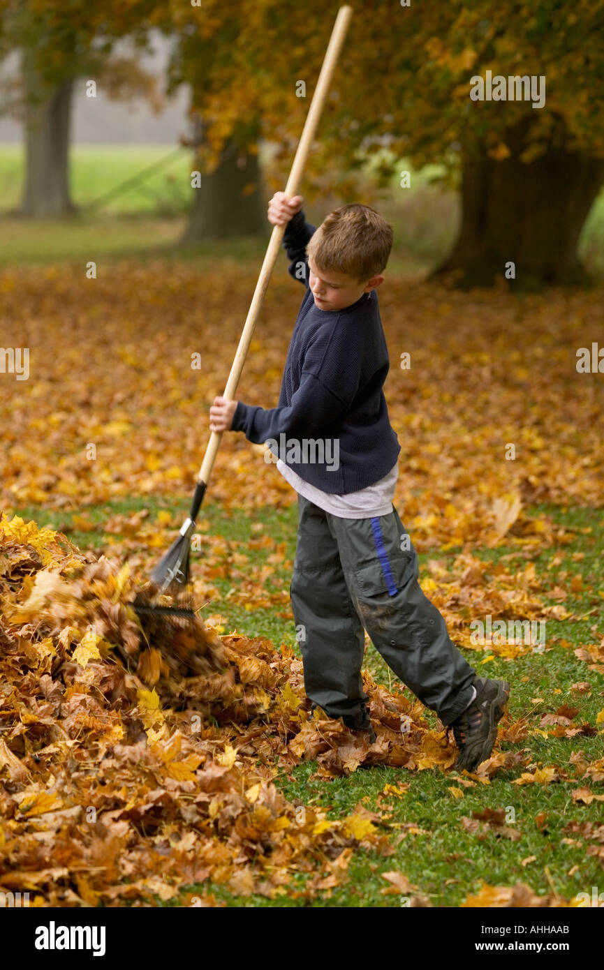 Junge 8 Rechen Blätter in einen Haufen im Hinterhof Stockfoto