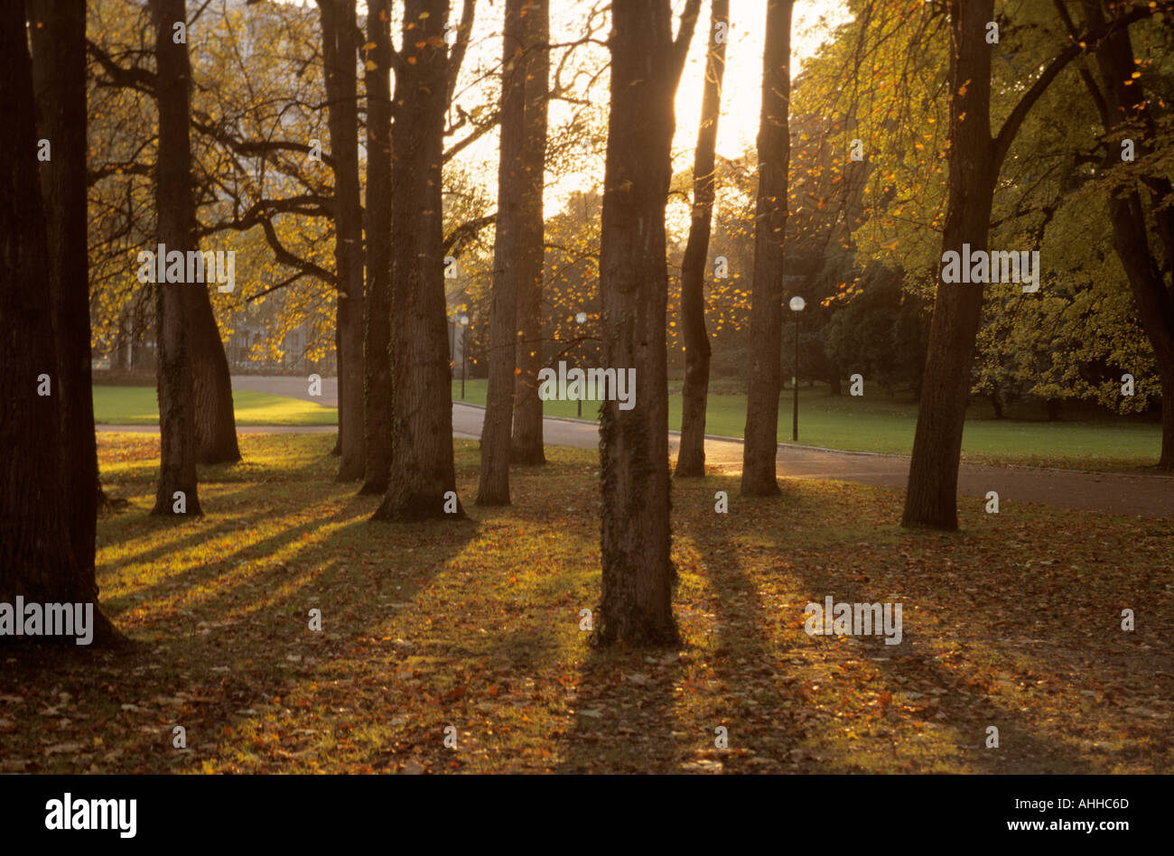 Parc De La Tête d oder Lyon Frankreich Europa Stockfoto
