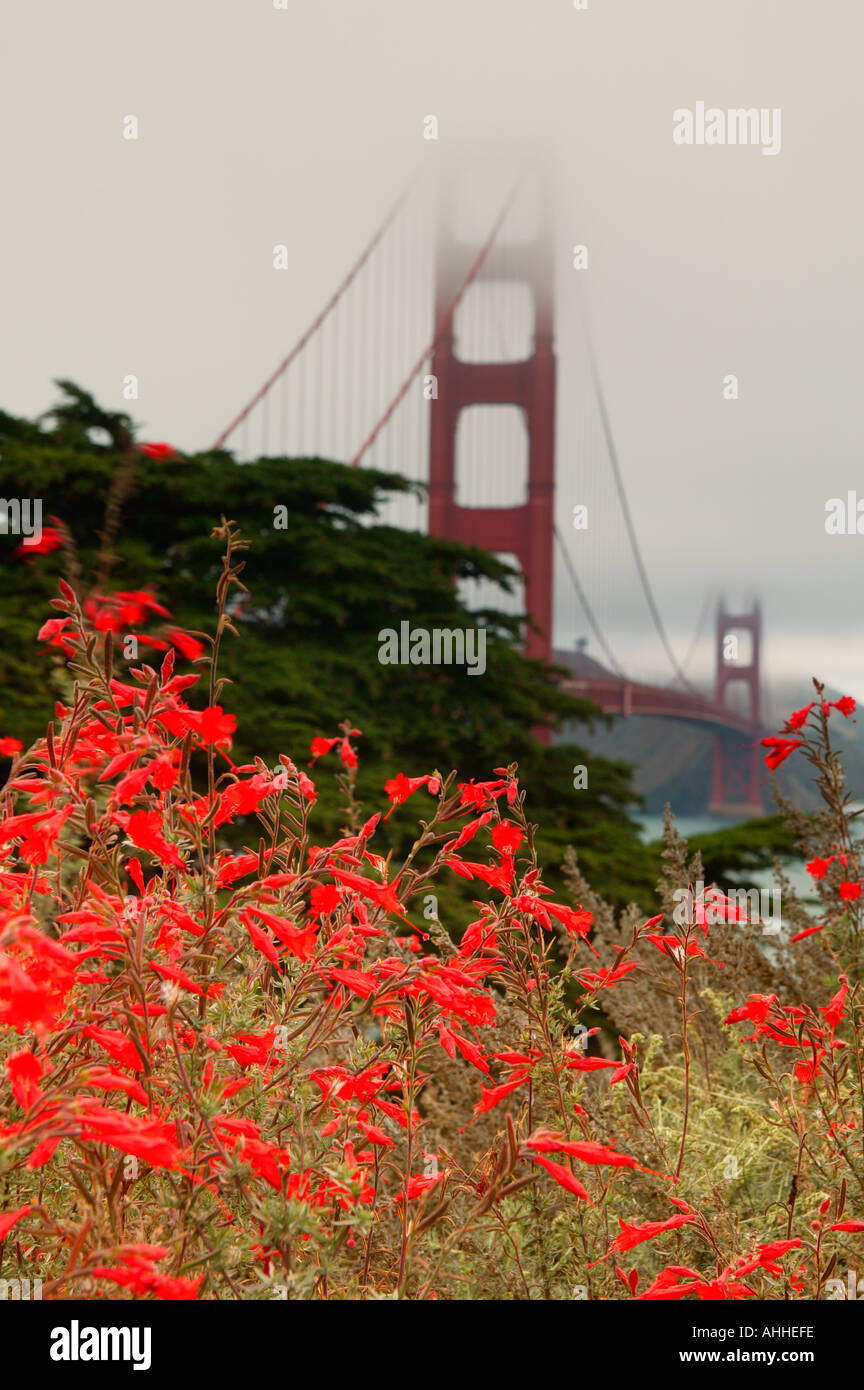 Golden Gate Bridge von der Mautstelle und Presidio Stockfoto