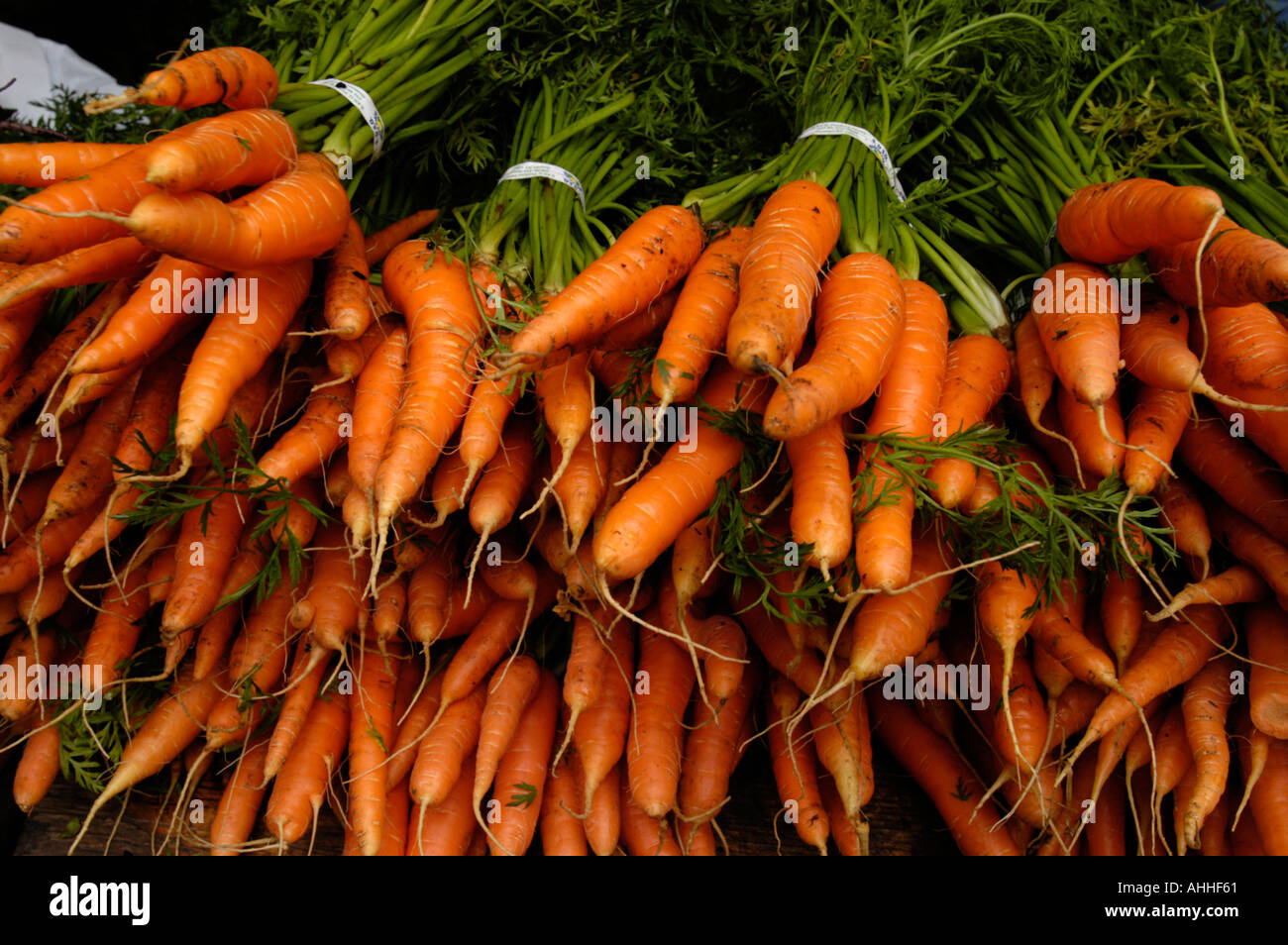 Frische Karotten am Marktstand Stockfoto