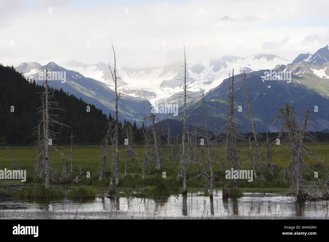 Landschaft in der Nähe von Anchorage, Alaska, USA, Alaska Stockfoto