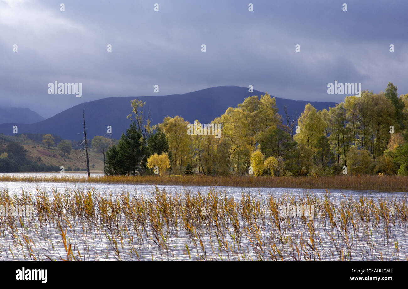 Loch Pityoulish, Vereinigtes Königreich, Schottland, Cairngorm National Park Stockfoto