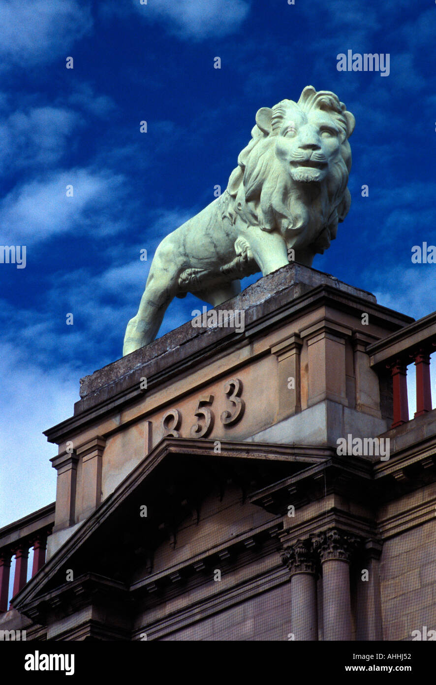 Architektonisches detail, Lion Statue, Lion Gebäude, Huddersfield, West Yorkshire, England, UK. Stockfoto