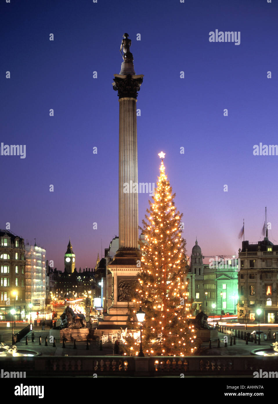 Abendhimmel Trafalgar Square Szene mit Lichtern und Dekorationen auf Weihnachtsbaum Nelsons Säule Big Ben am Ende von Whitehall ikonischen London England UK Stockfoto