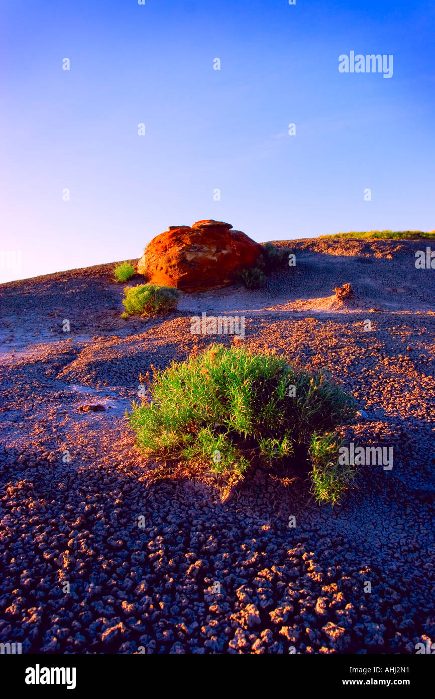 Malerischen roten Felsen coulee Stockfoto