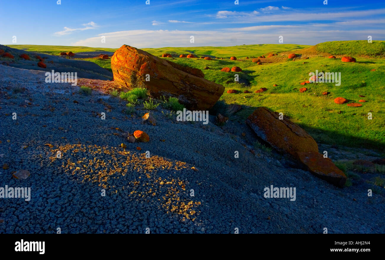 Roten Felsen coulee Stockfoto