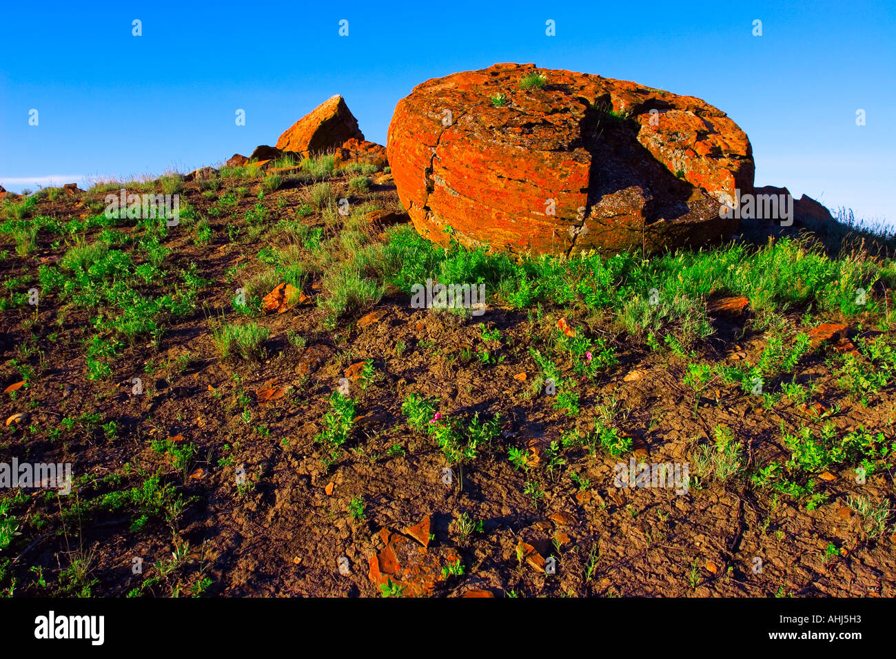 Roten Felsen Coulee Stockfoto