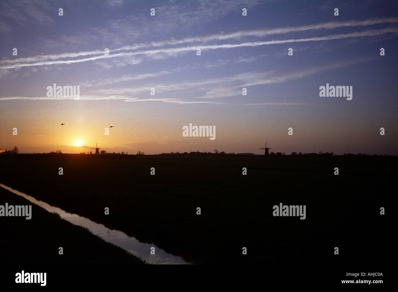 Sonnenuntergang über dem Feld mit Bewässerungskanal im Vordergrund und Windmühlen und Vögel gegen goldenen Himmel silhouettiert. Niederlande. Stockfoto