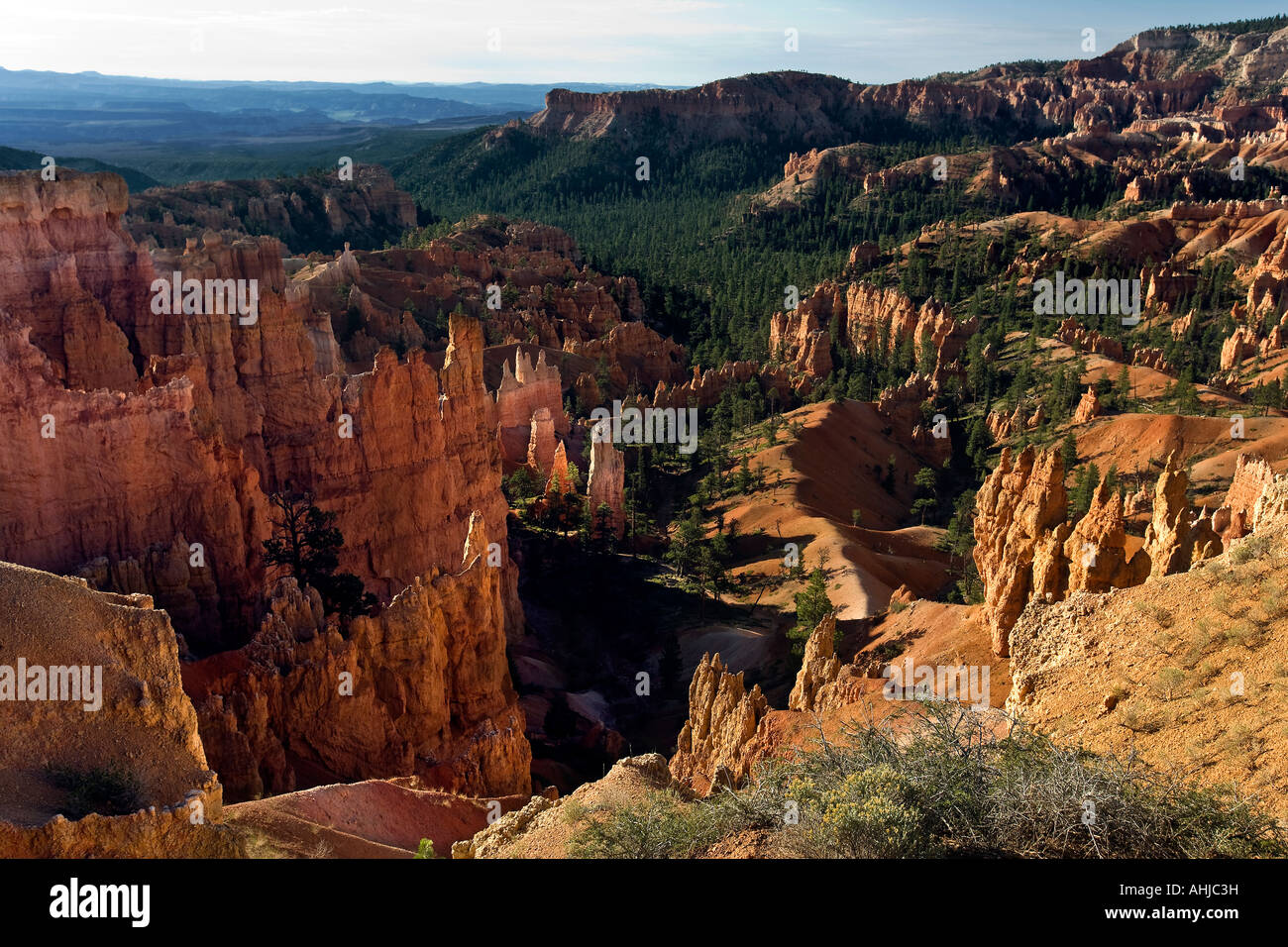 Geologische Formationen im Bryce Canyon Sunrise Trail Bryce Canyon National Park, Utah Stockfoto