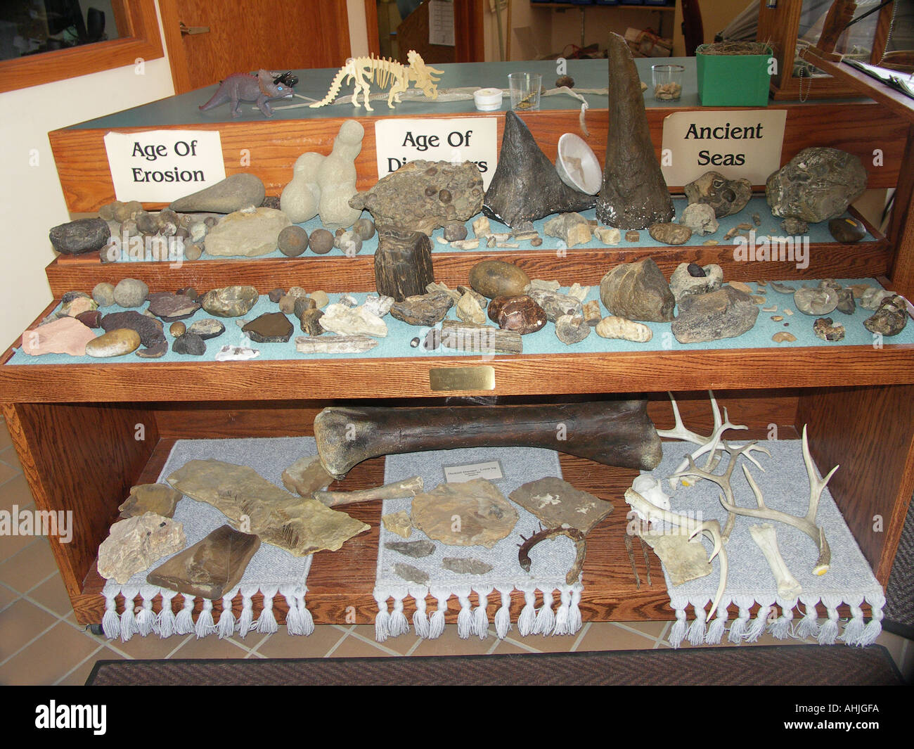 Gesteine und Fossilien auf dem Display Stockfoto