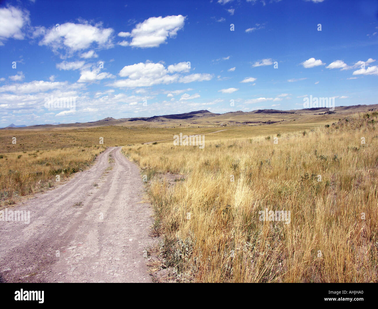 Feldweg durch den Westen der USA Stockfoto