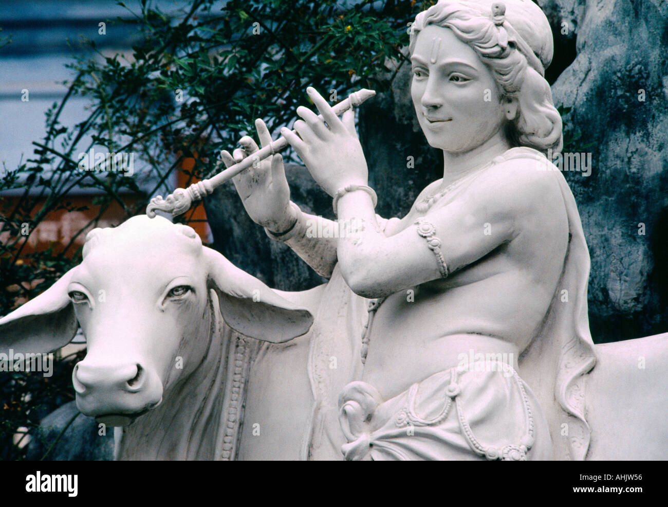 Rishikesh Indien Lakshman Krishna Tempel Kuh Herde Hindu Stockfoto Rishikesh Indien Lakshman Krishna Tempel Kuh Herde Hindu Stockfoto