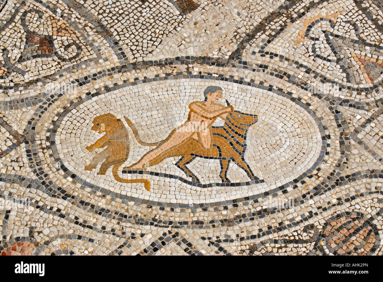 Detail der Mosaiken von Herkules und kretischen Stier im Haus der Arbeiten des Herkules in der zerstörten römischen Stadt Volubilis, Marokko Stockfoto