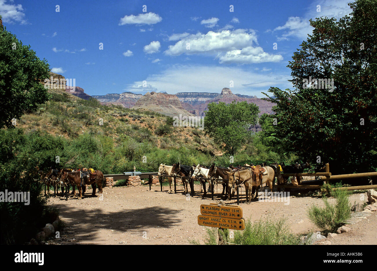 Bewässerung-Station für Pferde und Maultiere am Bright Angel Trail Grand Canyon Stockfoto