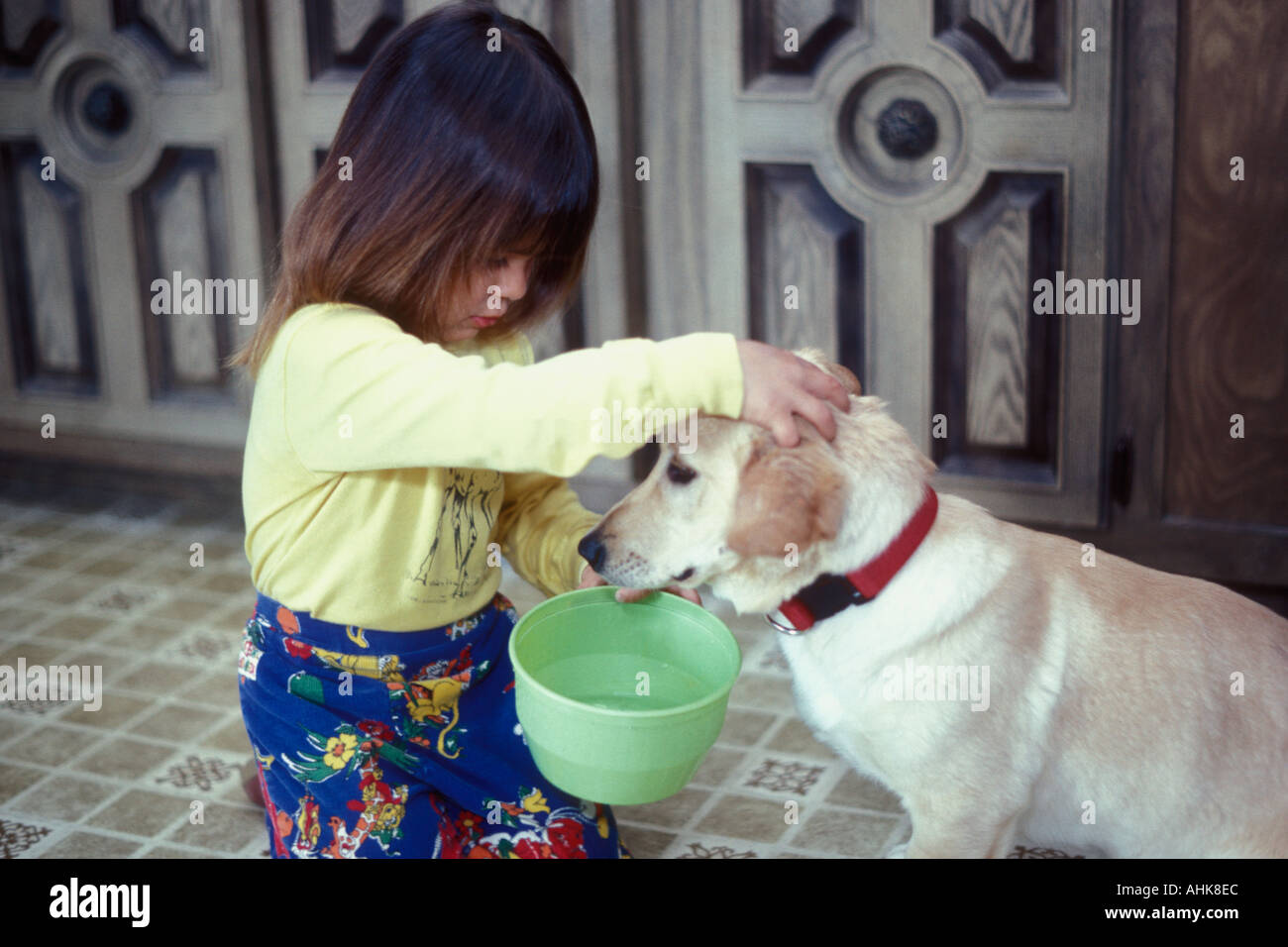 Kind versucht, den Hund zu trinken aus der Schüssel zu lehren Stockfoto