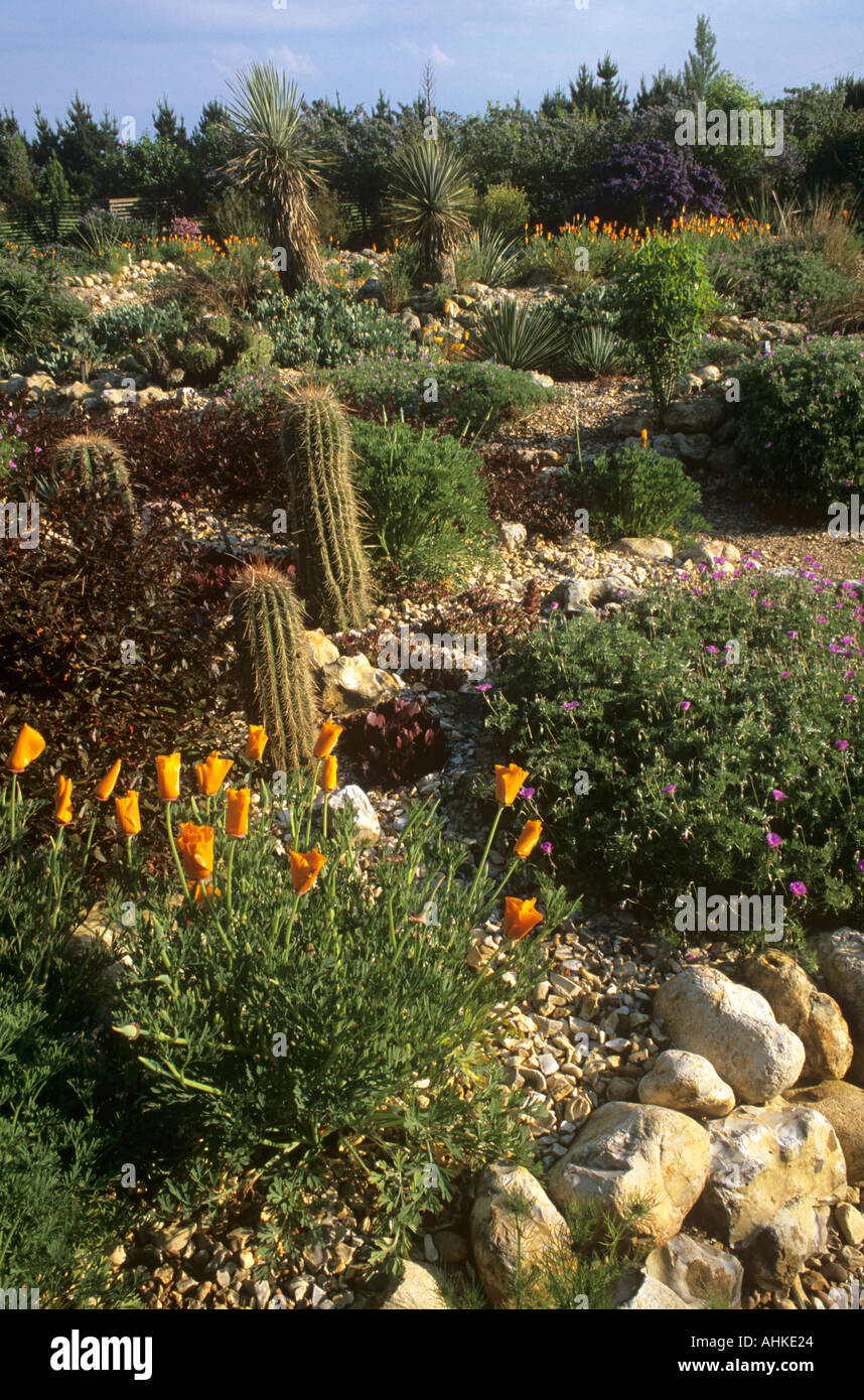 DESERT WASH GARTEN IM ALTEN PFARRHAUS OST RUSTON IN NORFOLK, ENGLAND, IN KANN Stockfoto