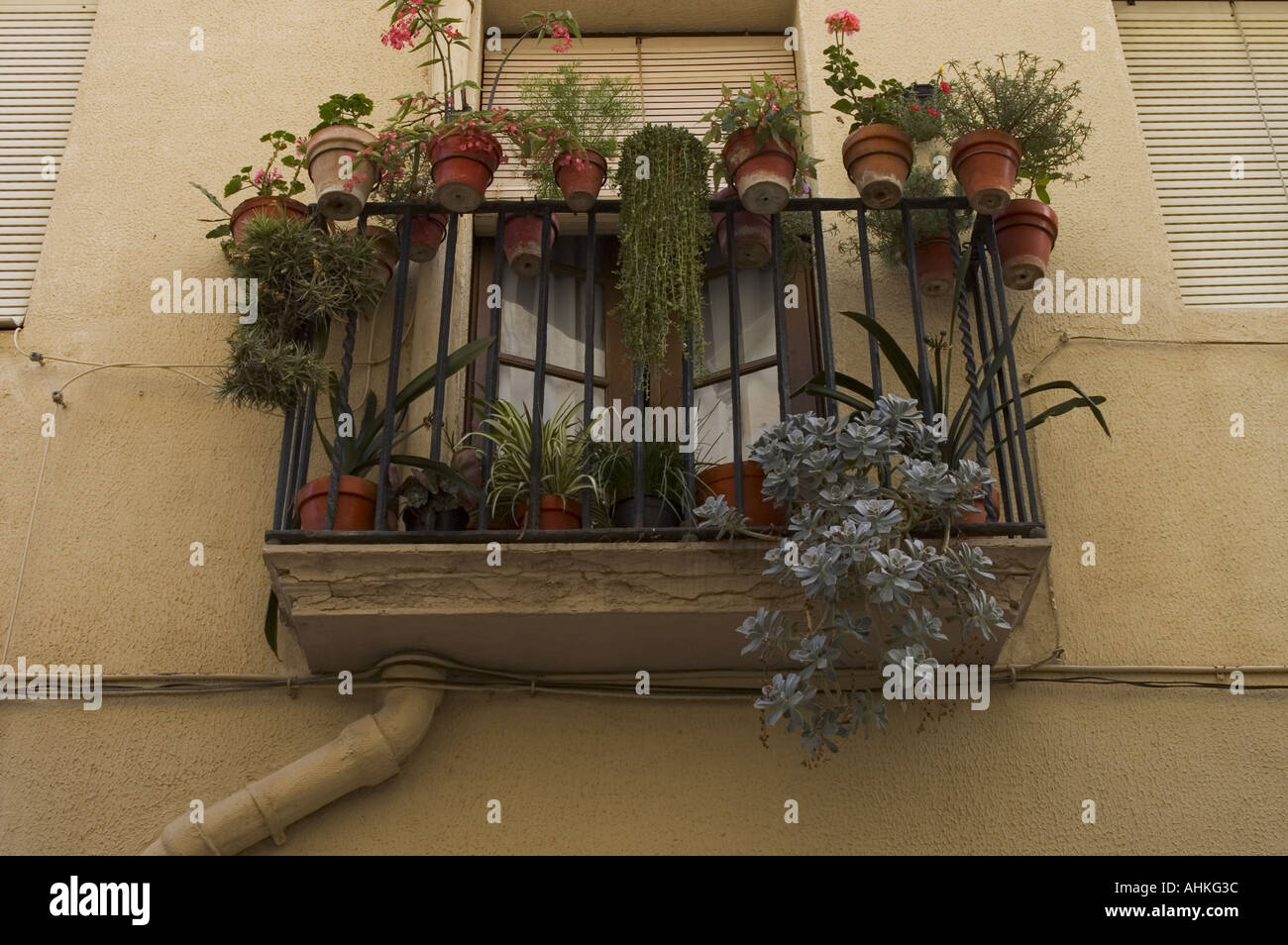 Cambrils Küstenstadt in der Comarca Baix Camp, Provinz Tarragona, Katalonien, Spanien Vogelkäfige in die Fenster und Balkone Stockfoto