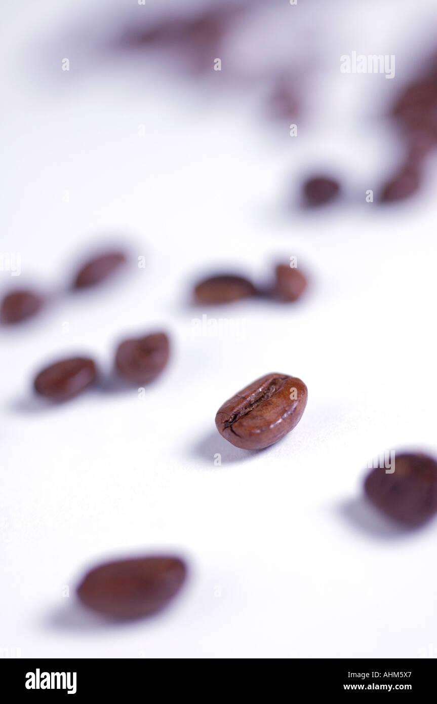 Nahaufnahme von Kaffeebohnen Stockfoto