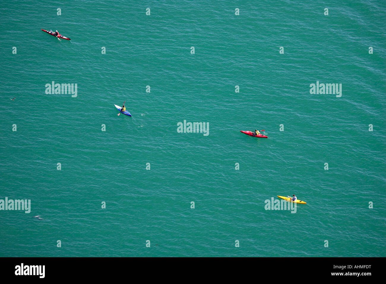 Kajaks und Hectors Delfine Akaroa Harbour Banken Halbinsel Canterbury Neuseeland Südinsel Antenne Stockfoto