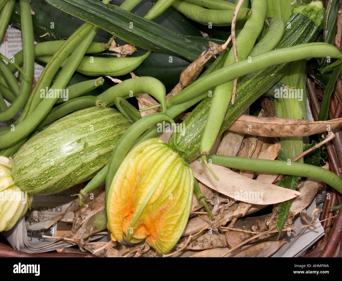 Zucchini, Bohnen 01 Stockfoto