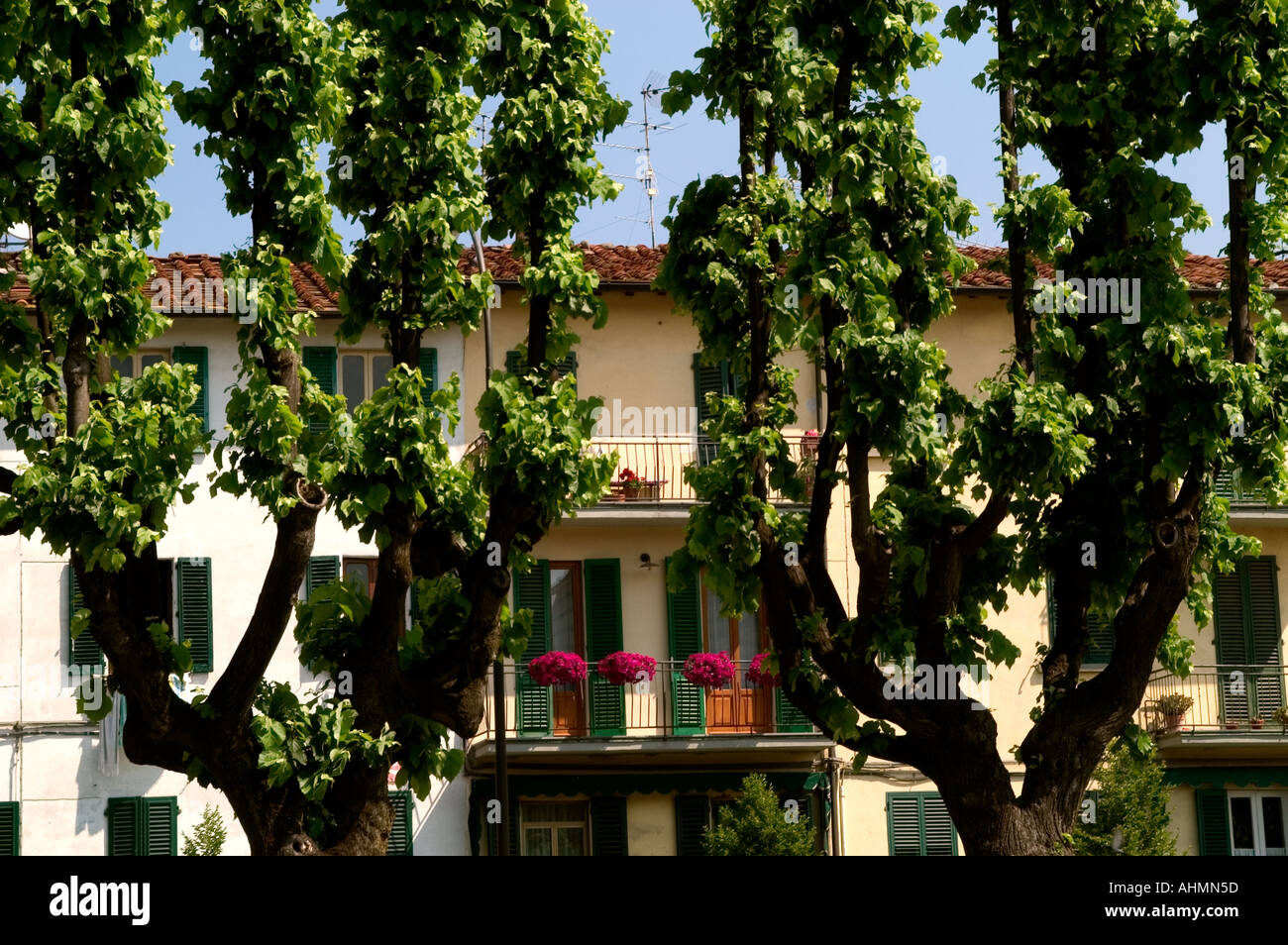 Toskana Italien Italienisch Haus Villa Bäume Stockfoto