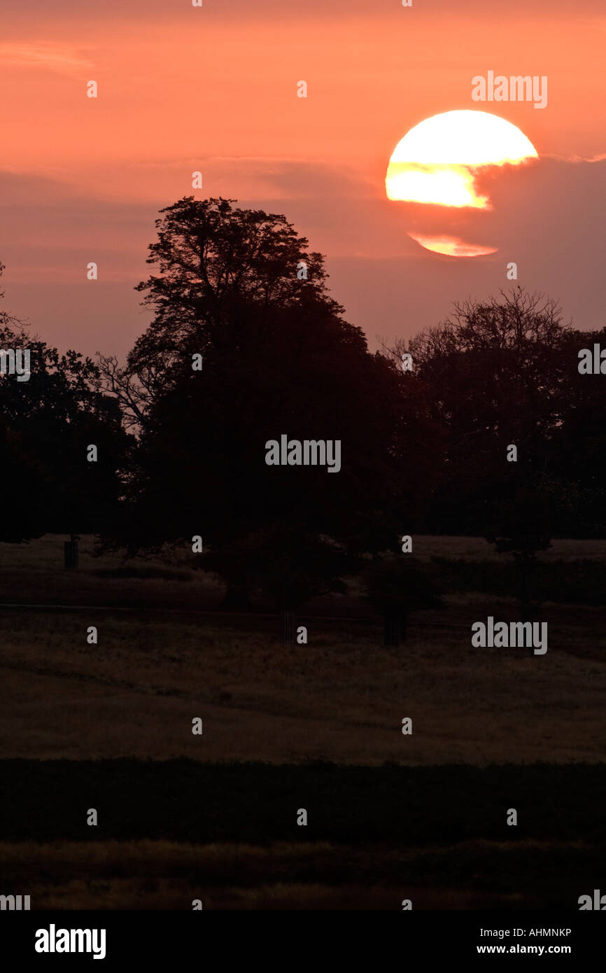 Sonnenaufgang über Richmond Park London Oktober 2007 Stockfoto