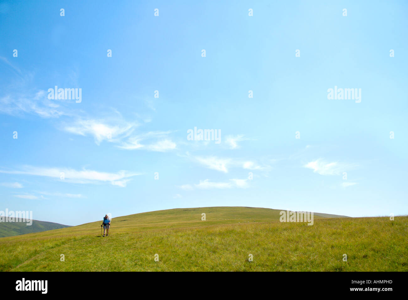 Einsamer Wanderer auf Fan-Lila Berggipfel öffnen Moor in den Brecon Beacons National Park Powys South Wales UK Stockfoto