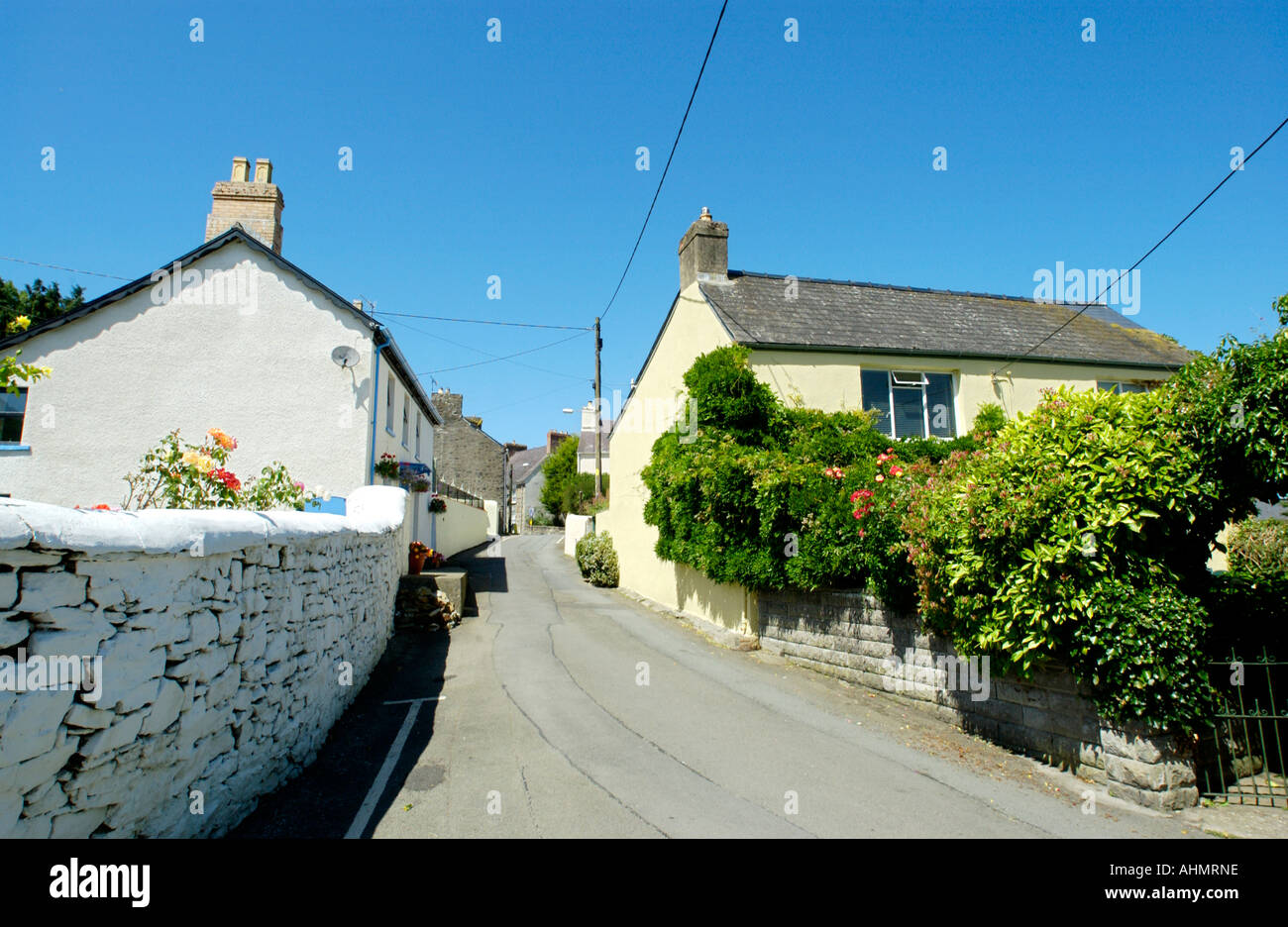 Blick auf malerische Cottages im Dorf von St. Dogmaels Pembrokeshire West Wales UK Stockfoto