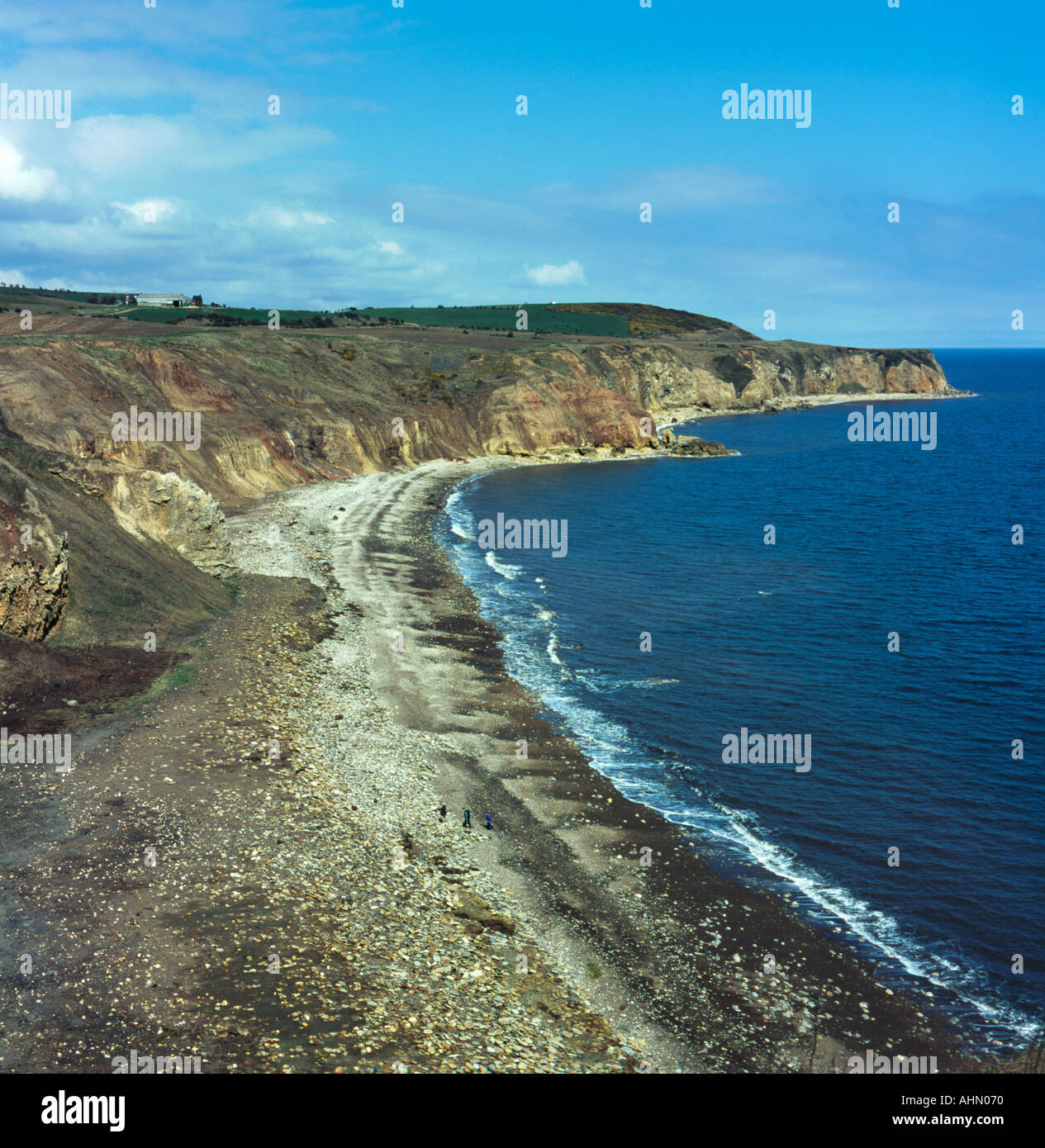 Magnesiumhaltiger Kalksteinfelsen und Strand in der Nähe von Easington Zeche, County Durham, England, UK. Stockfoto