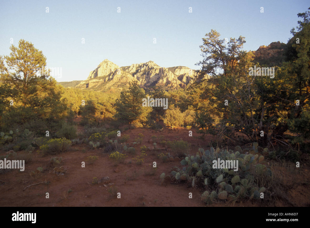 Trockene Landschaft in der Nähe von Sedona, Arizona Stockfoto