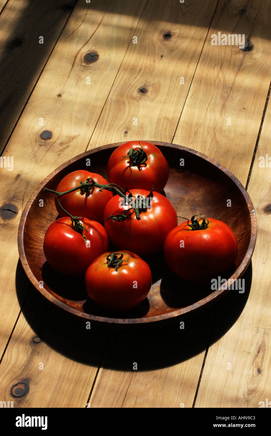 Bio Sonne gereifte Tomaten Stockfoto