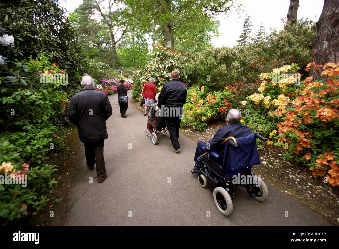 Hampshire Exbury Gardens behinderter Menschen im Rollstuhl Stockfoto