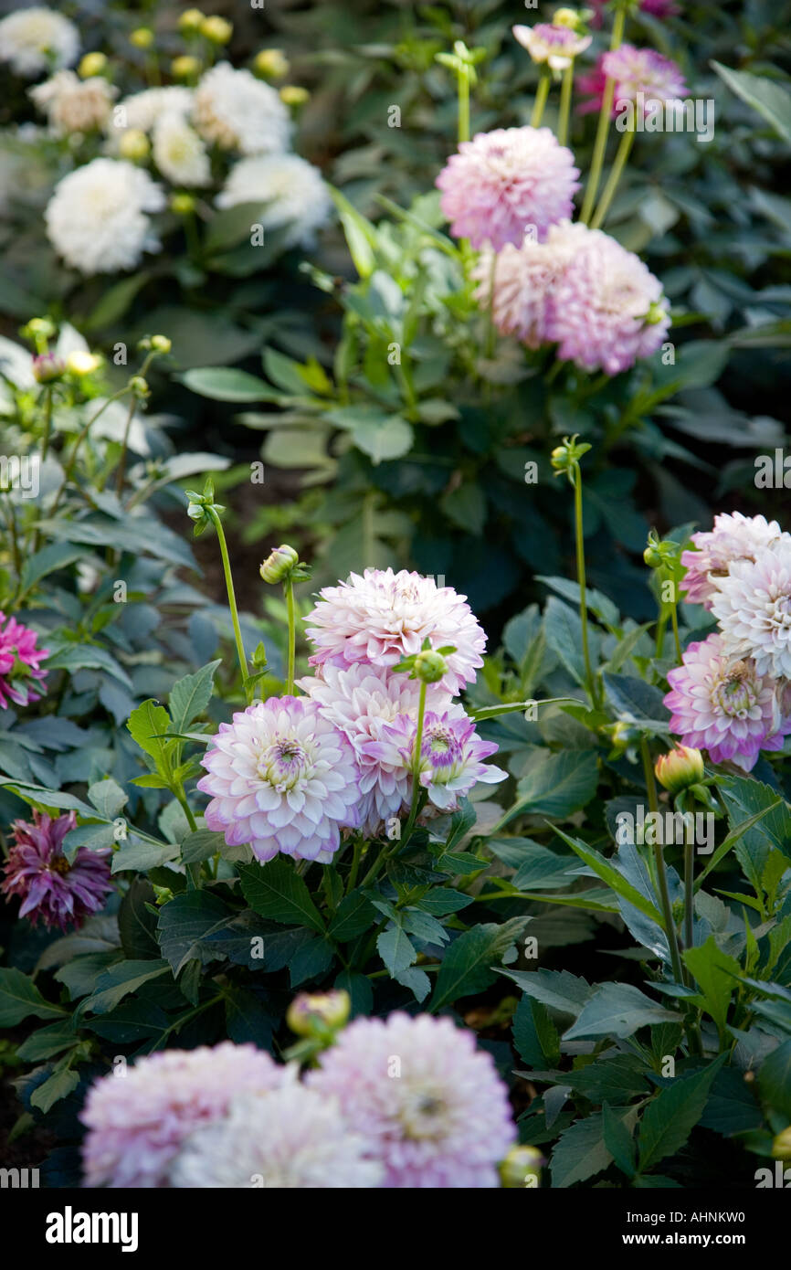Drottningholm Palast Stockfoto