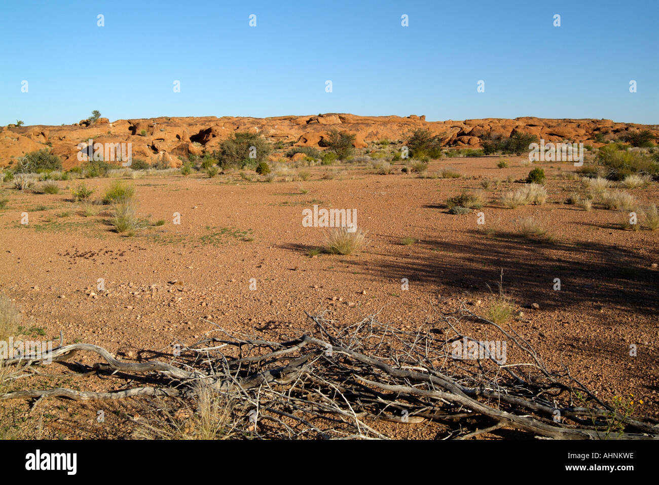 Sanddünen in der Kalahari Transfrontier National Park in Südafrika RSA Stockfoto