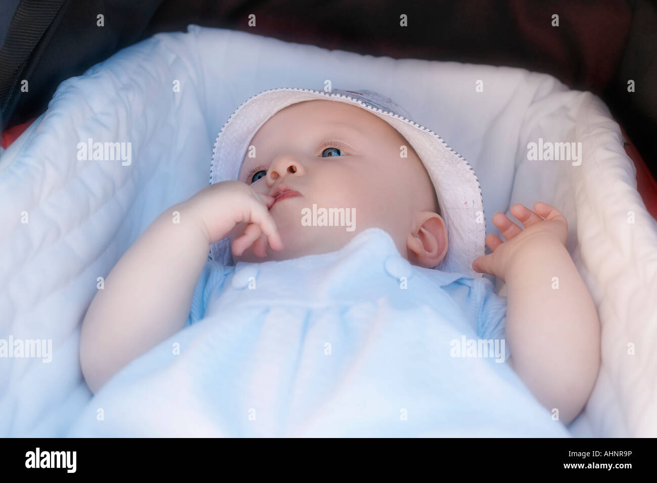 BABY 7 MONATE ALT IN KINDERWAGEN Stockfoto