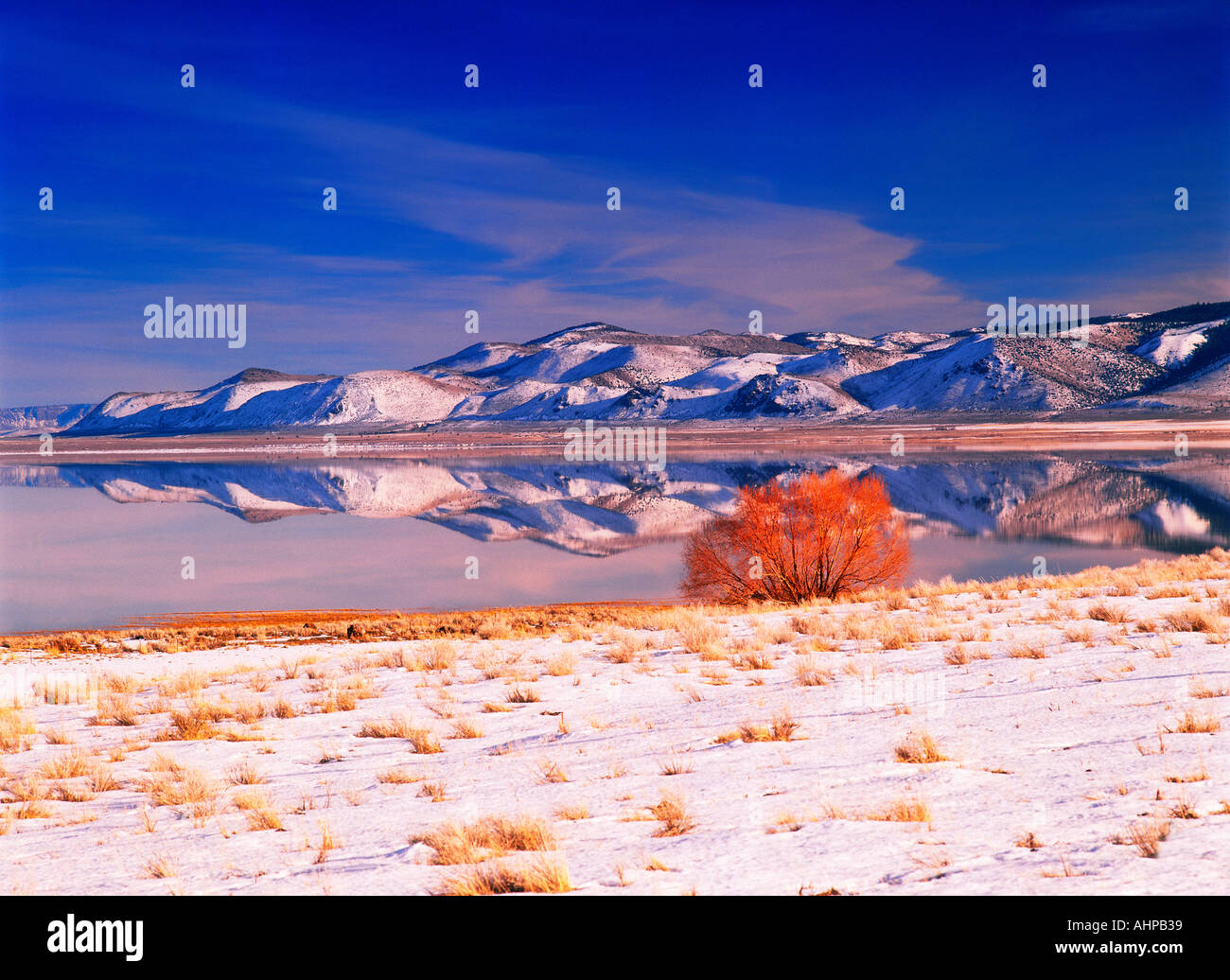 M00120 Tiff Sommer See Spiegelung mit Schnee Weidenbaum und Bergen der Freemont National Forest in Oregon Stockfoto