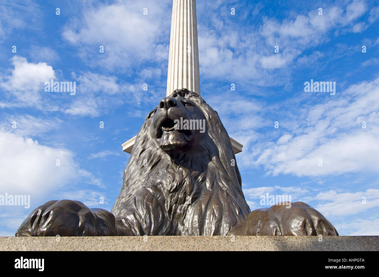 Weitwinkel-Ansicht eines bronzenen-Löwen an der Basis des vor kurzem gereinigt Nelsonsäule in Trafalgar Square hautnah. Stockfoto