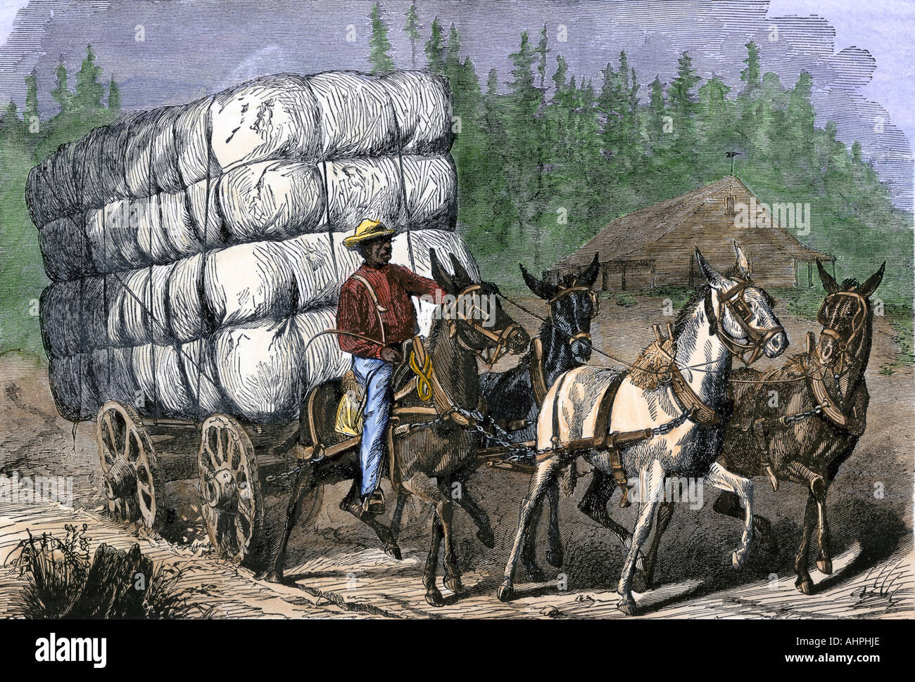 African American schleppen Ballen Baumwolle auf dem Markt mit einem Team von Maultieren 1800. Hand - farbige Holzschnitt Stockfoto